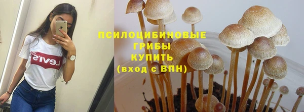 mdpv Арсеньев