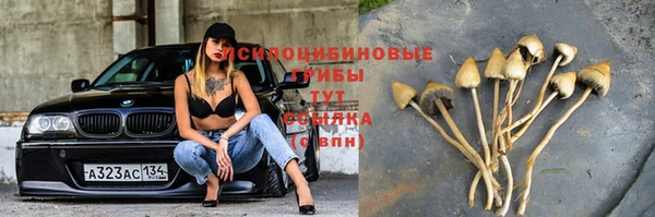 ALPHA-PVP Богородицк