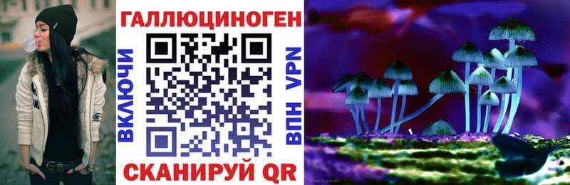 Псилоцибиновые грибы прущие грибы  Красный Кут 